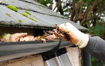 gutter cleaning Whitelee