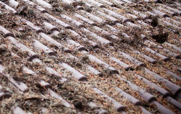 Whitelee roof cleaning companies