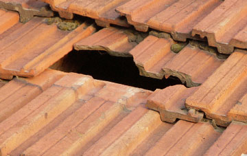 roof repair Whitelee